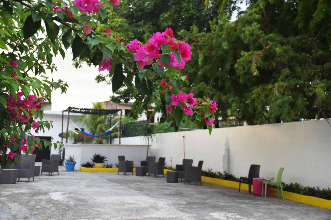 Hostal Casa Bohemia Mérida Exterior foto